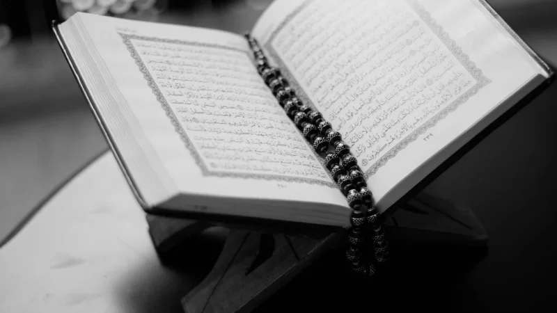 Literatura faktu w Polsce – opracowanie gatunku