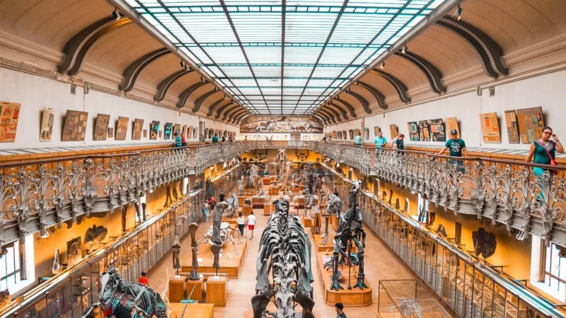 Muzeum Grawitacji w Warszawie: atrakcje i ceny, które zachwycą każdego odkrywcę