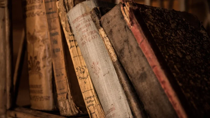 Powieść historyczna XIX wieku – opracowanie rozwoju gatunku