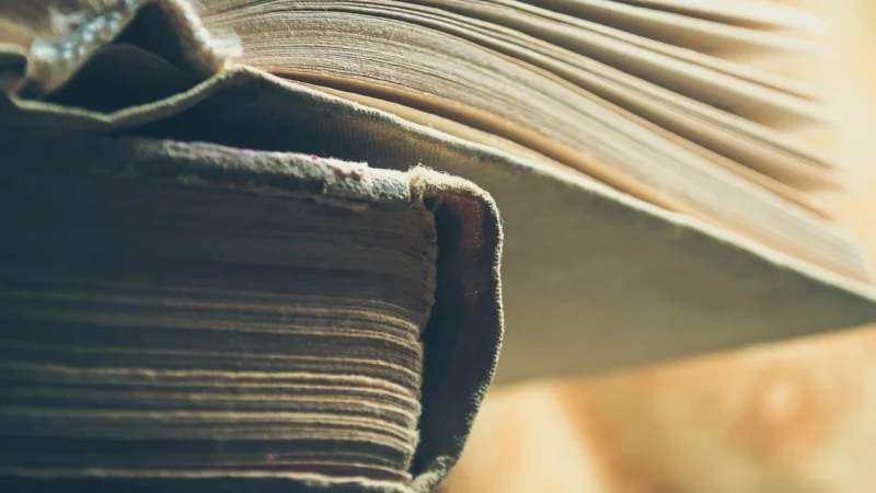 Recenzja książki: Sztuka wyrazu 1. Część 1. Starożytność, średniowiecze