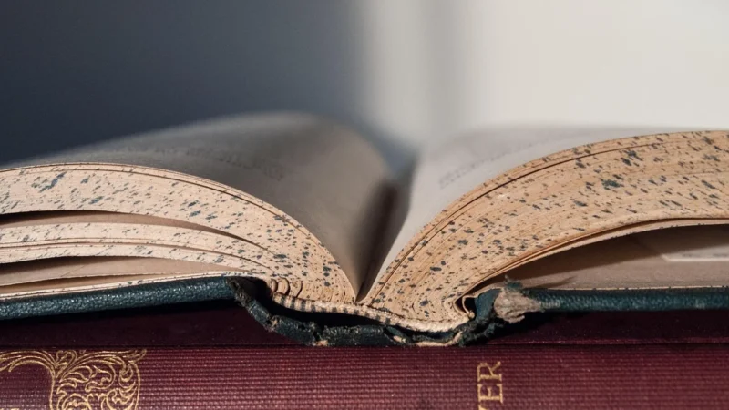 Ściąga z dat w literaturze polskiej – chronologia epok