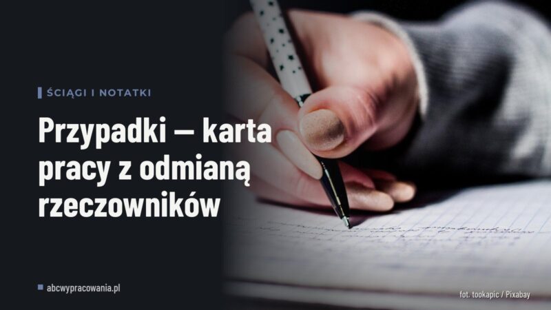 Przypadki — karta pracy z odmianą rzeczowników